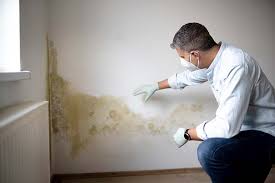 Biohazard Mold Removal in Perth Amboy, NJ